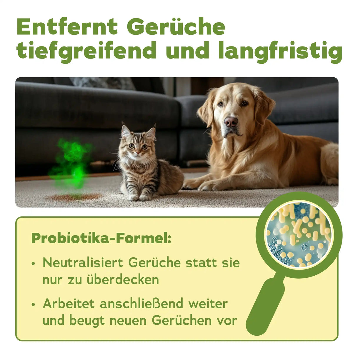 Enzymreiniger Konzentrat (1 L + Mischflasche)