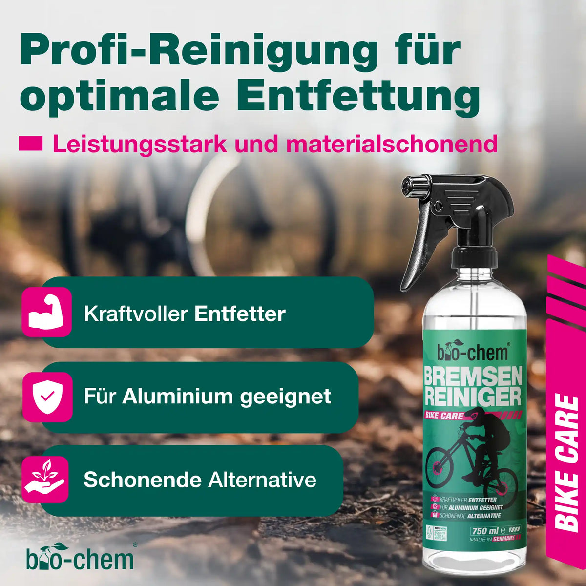 Bremsenreiniger (5 L)