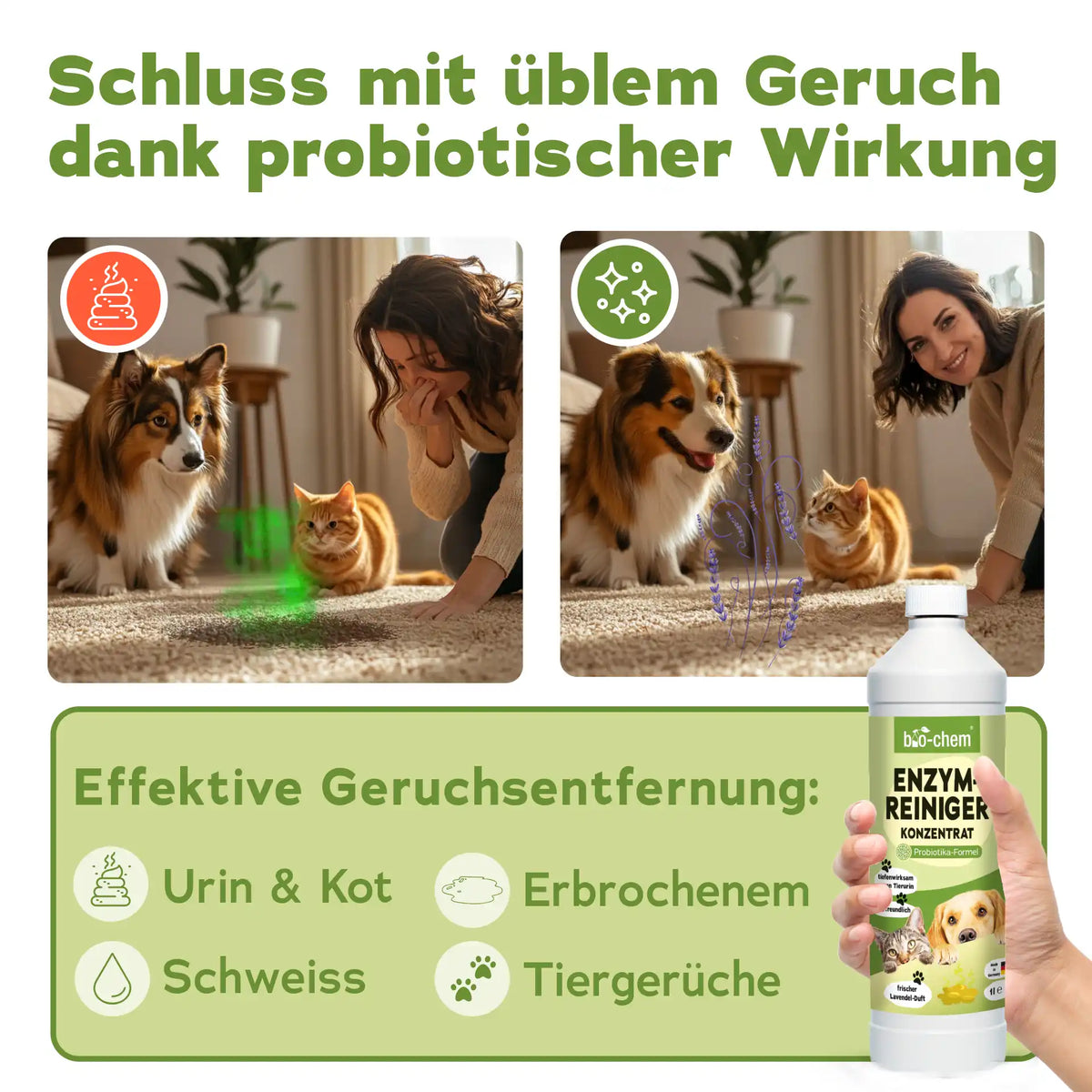 Enzymreiniger Konzentrat (1 L + Mischflasche)