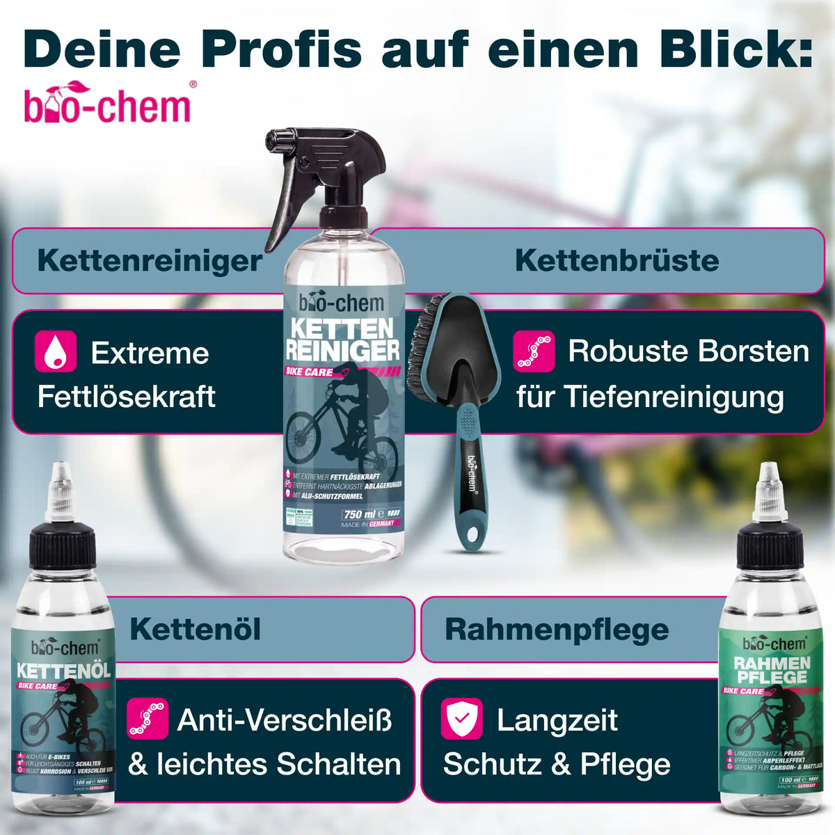 Fahrradpflege-Set (PREMIUM 10-teilig)