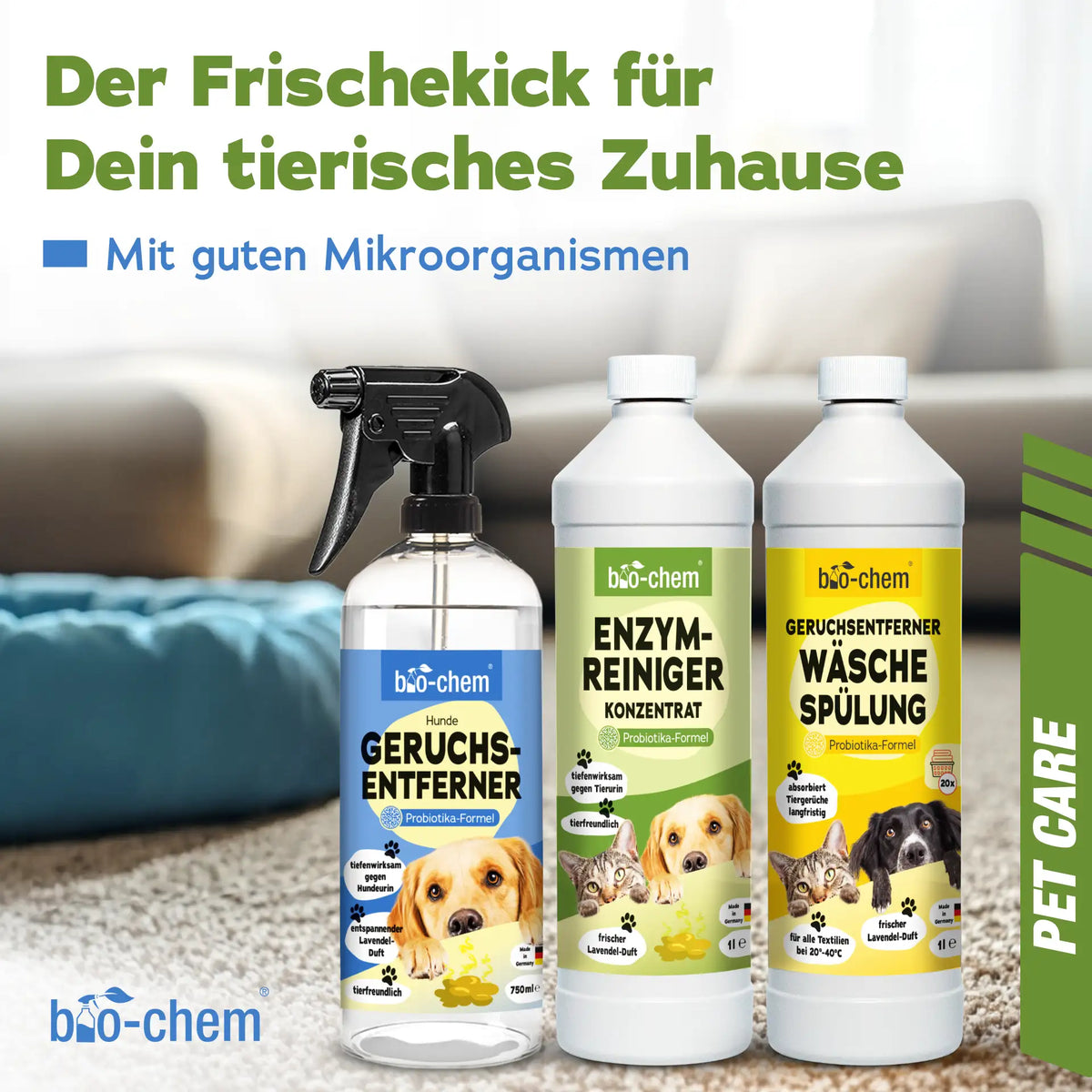 Geruchsentferner-Set Hund (3-teilig)