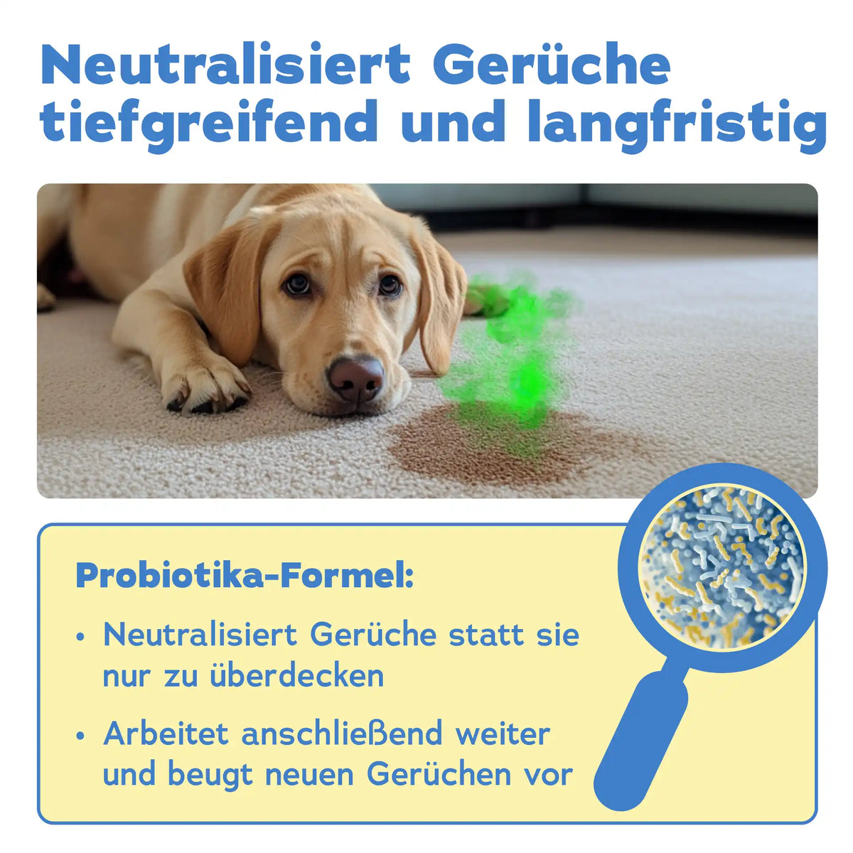 Geruchsentferner Hund (750 ML)