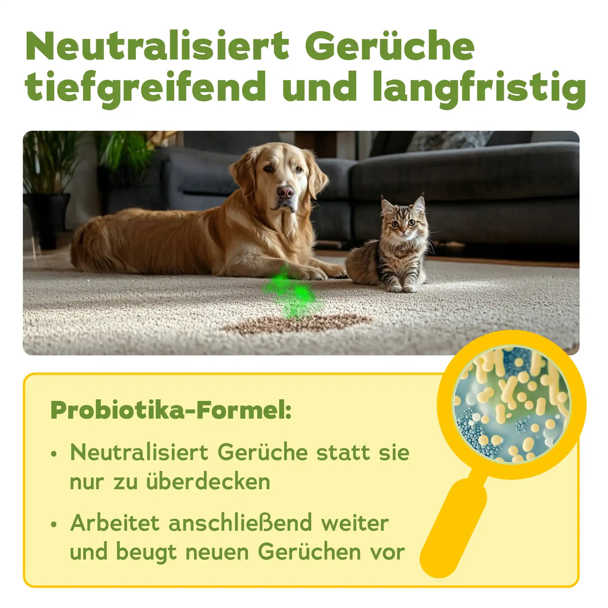 Enzymreiniger Konzentrat 1 l + Geruchsentferner Wäschespülung 1 l (DUO 2-teilig)