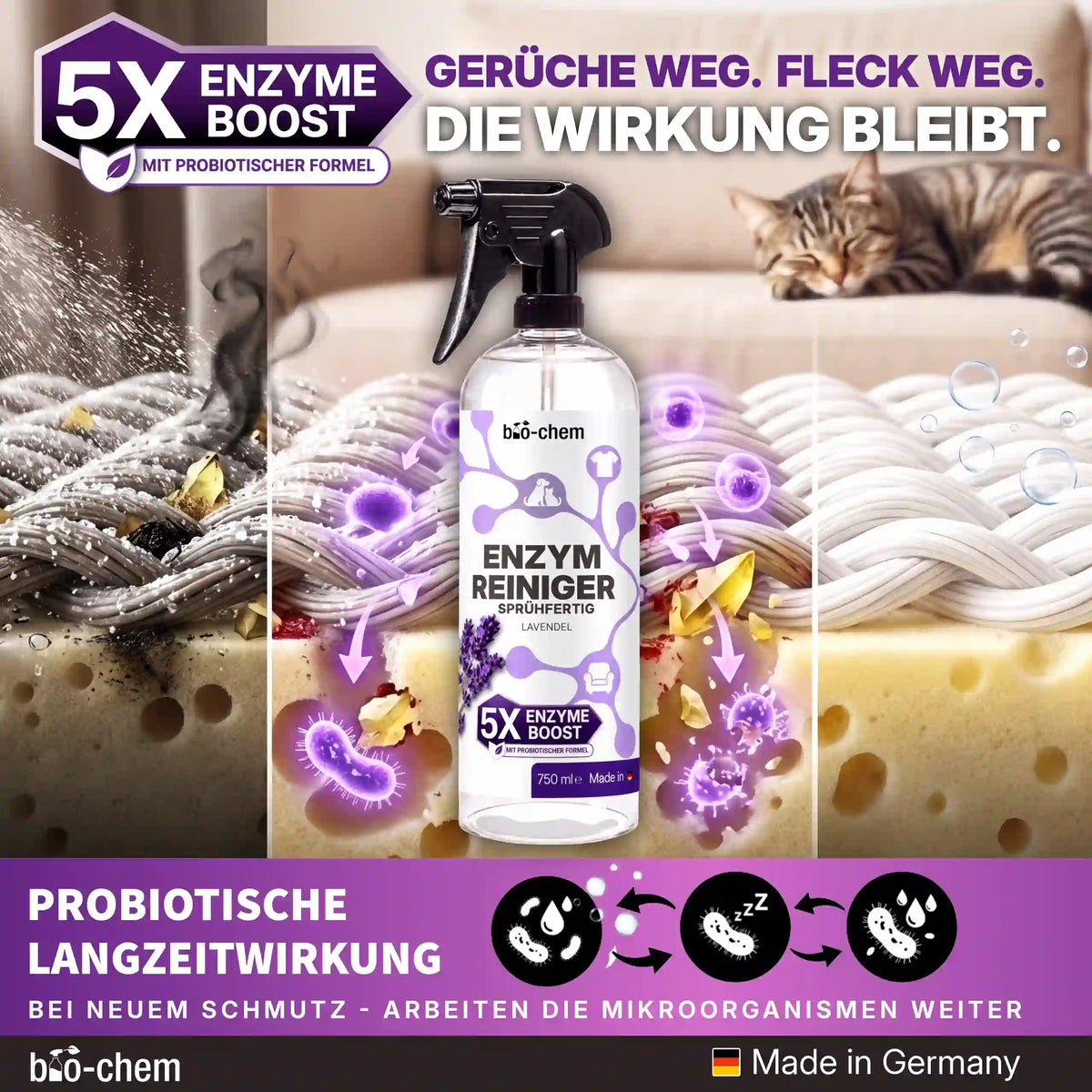 Probiotische Langzeitwirkung des bio-chem Enzymreinigers: Mikroorganismen arbeiten bei neuem Schmutz kontinuierlich weiter[cite: 130].