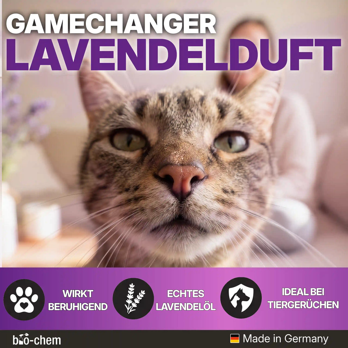 bio-chem Enzymreiniger mit echtem Lavendelöl wirkt beruhigend und ist ideal bei hartnäckigen Tiergerüchen[cite: 133].