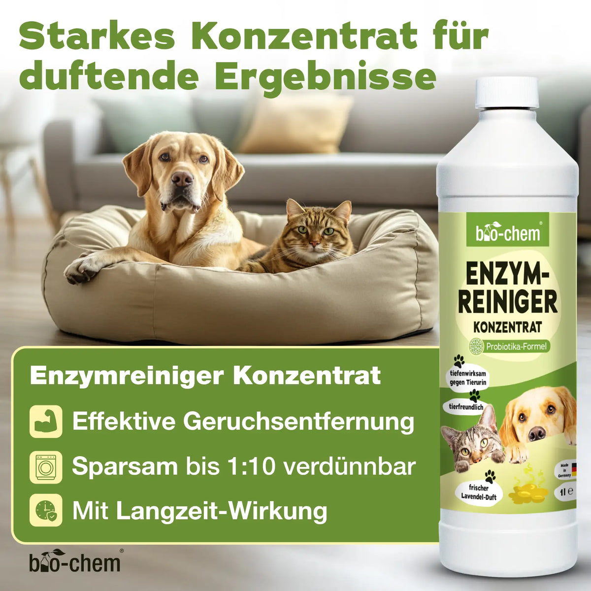 Geruchsentferner-Set Hund (3-teilig)